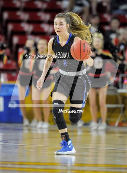 Thumbnail 2 in Chaparral vs. Mesquite (AIA 5A Final) photogallery.