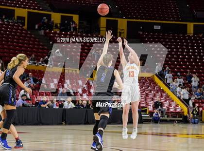 Thumbnail 2 in Chaparral vs. Mesquite (AIA 5A Final) photogallery.