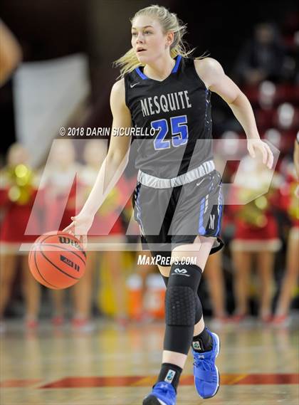 Thumbnail 1 in Chaparral vs. Mesquite (AIA 5A Final) photogallery.