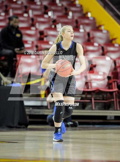 Thumbnail 3 in Chaparral vs. Mesquite (AIA 5A Final) photogallery.