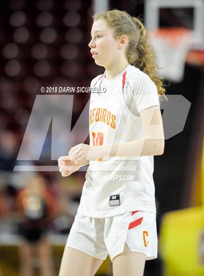 Thumbnail 3 in Chaparral vs. Mesquite (AIA 5A Final) photogallery.