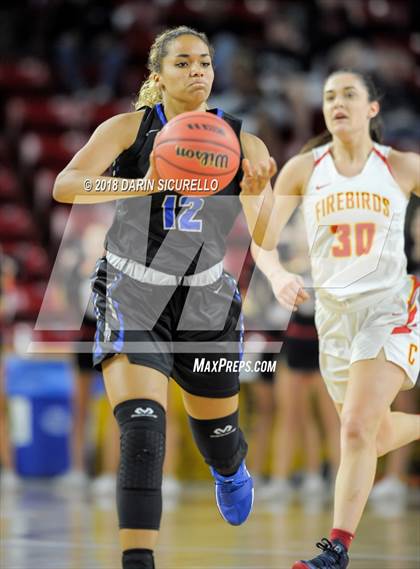 Thumbnail 2 in Chaparral vs. Mesquite (AIA 5A Final) photogallery.