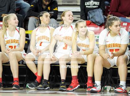 Thumbnail 1 in Chaparral vs. Mesquite (AIA 5A Final) photogallery.