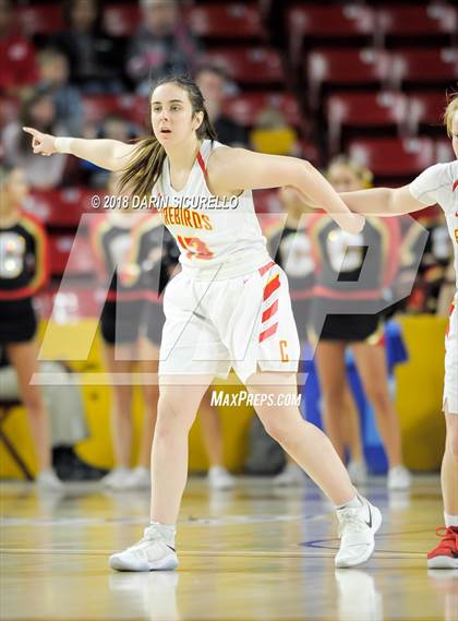 Thumbnail 3 in Chaparral vs. Mesquite (AIA 5A Final) photogallery.