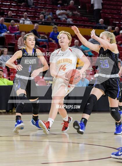 Thumbnail 1 in Chaparral vs. Mesquite (AIA 5A Final) photogallery.