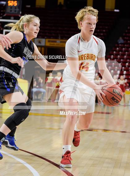 Thumbnail 1 in Chaparral vs. Mesquite (AIA 5A Final) photogallery.