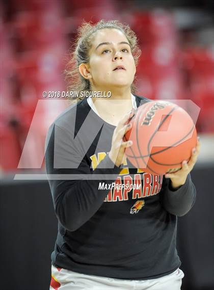 Thumbnail 3 in Chaparral vs. Mesquite (AIA 5A Final) photogallery.