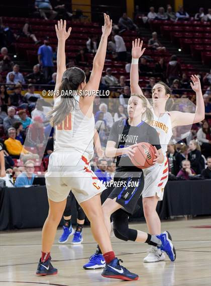Thumbnail 3 in Chaparral vs. Mesquite (AIA 5A Final) photogallery.
