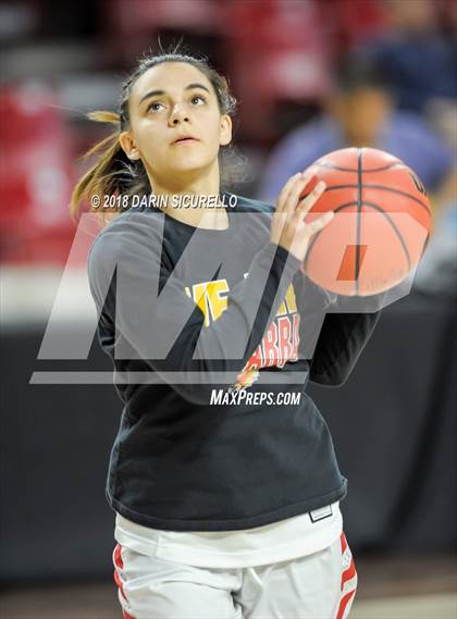 Thumbnail 2 in Chaparral vs. Mesquite (AIA 5A Final) photogallery.