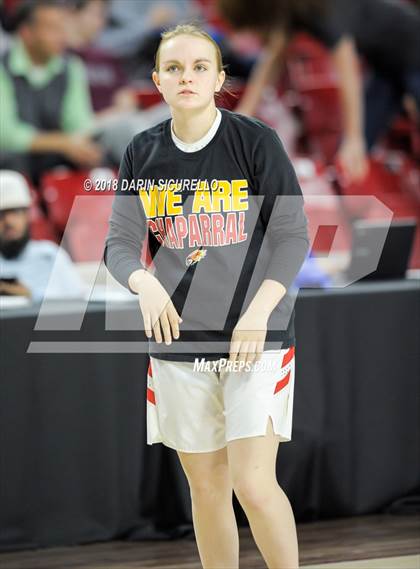 Thumbnail 2 in Chaparral vs. Mesquite (AIA 5A Final) photogallery.