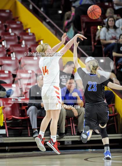 Thumbnail 2 in Chaparral vs. Mesquite (AIA 5A Final) photogallery.