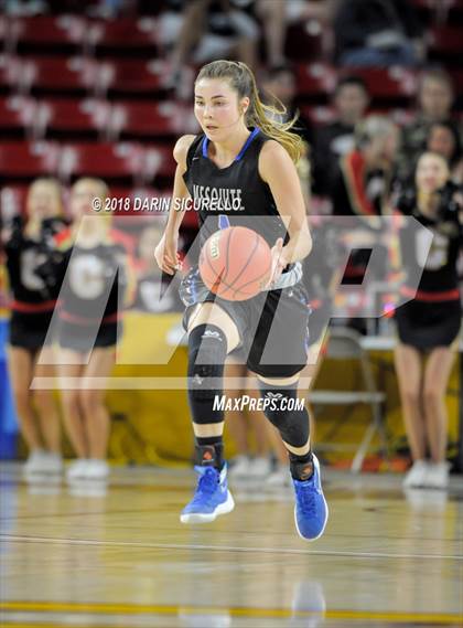 Thumbnail 1 in Chaparral vs. Mesquite (AIA 5A Final) photogallery.
