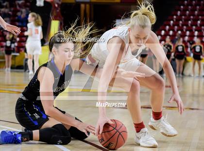 Thumbnail 2 in Chaparral vs. Mesquite (AIA 5A Final) photogallery.