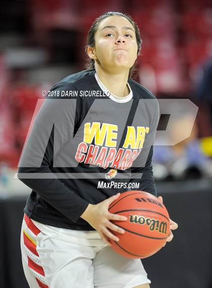 Thumbnail 3 in Chaparral vs. Mesquite (AIA 5A Final) photogallery.