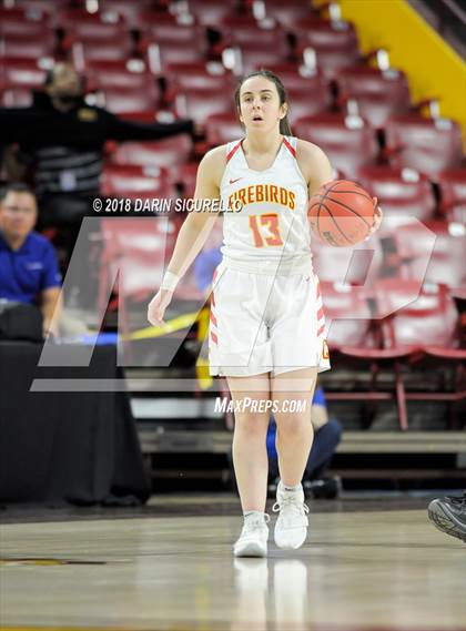 Thumbnail 3 in Chaparral vs. Mesquite (AIA 5A Final) photogallery.