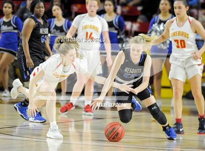 Thumbnail 3 in Chaparral vs. Mesquite (AIA 5A Final) photogallery.