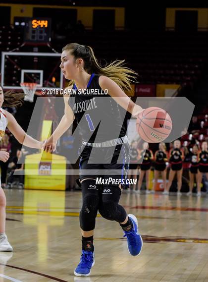 Thumbnail 2 in Chaparral vs. Mesquite (AIA 5A Final) photogallery.