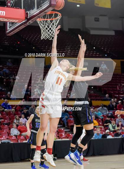Thumbnail 1 in Chaparral vs. Mesquite (AIA 5A Final) photogallery.