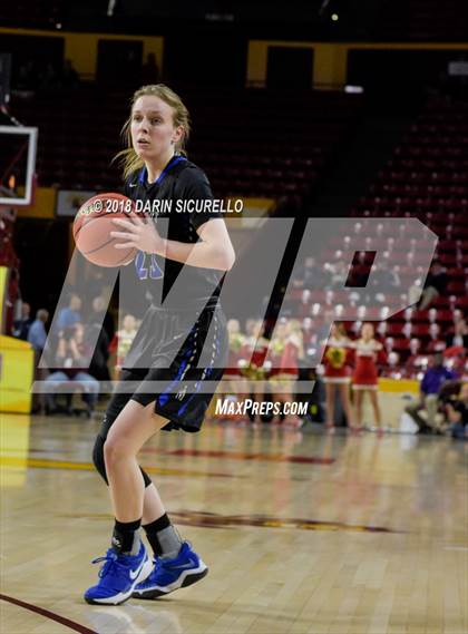 Thumbnail 1 in Chaparral vs. Mesquite (AIA 5A Final) photogallery.