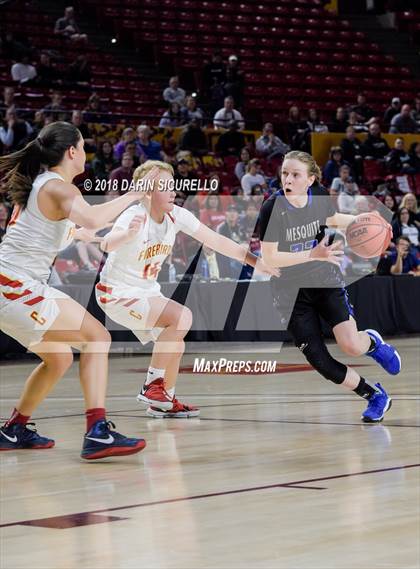 Thumbnail 2 in Chaparral vs. Mesquite (AIA 5A Final) photogallery.