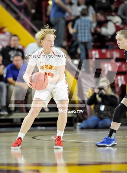 Thumbnail 2 in Chaparral vs. Mesquite (AIA 5A Final) photogallery.