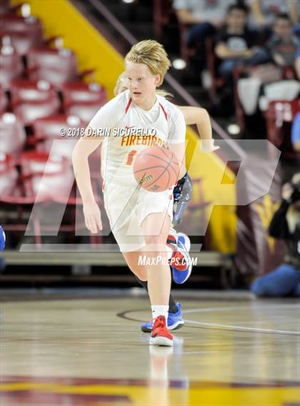 Thumbnail 2 in Chaparral vs. Mesquite (AIA 5A Final) photogallery.