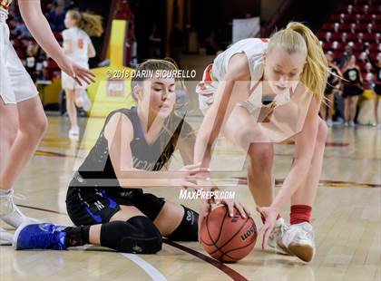 Thumbnail 1 in Chaparral vs. Mesquite (AIA 5A Final) photogallery.