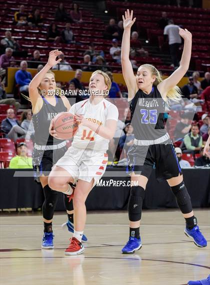 Thumbnail 2 in Chaparral vs. Mesquite (AIA 5A Final) photogallery.