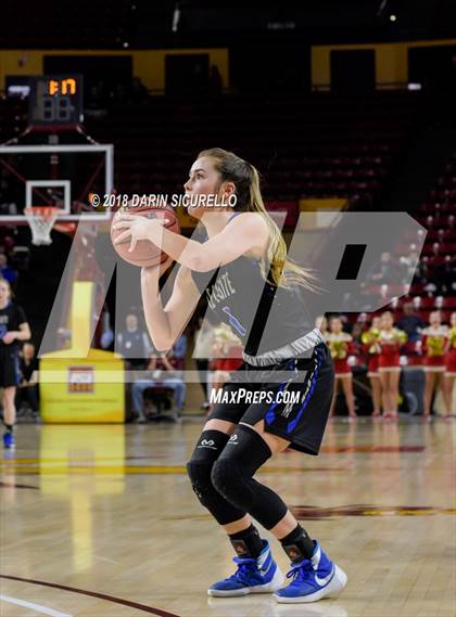 Thumbnail 2 in Chaparral vs. Mesquite (AIA 5A Final) photogallery.