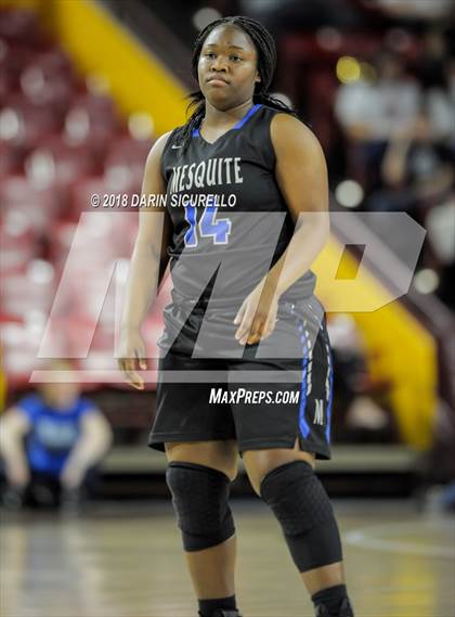 Thumbnail 3 in Chaparral vs. Mesquite (AIA 5A Final) photogallery.