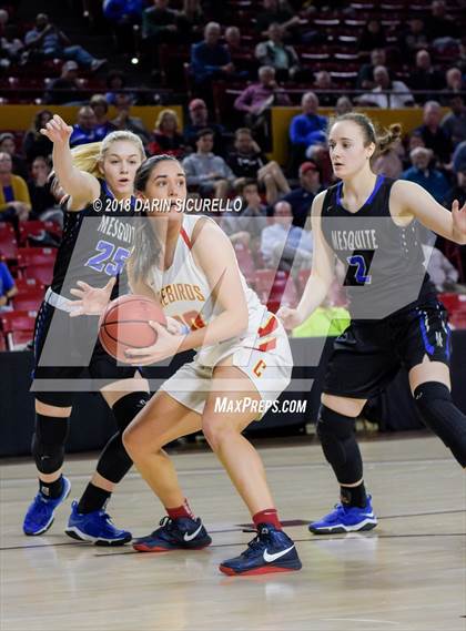 Thumbnail 2 in Chaparral vs. Mesquite (AIA 5A Final) photogallery.