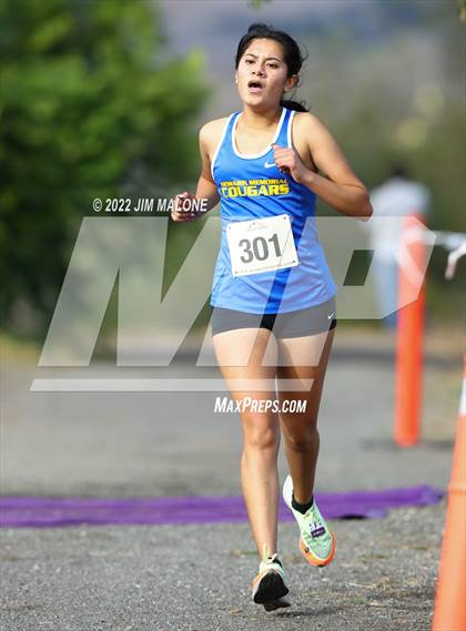 Thumbnail 1 in MVAL League Finals photogallery.