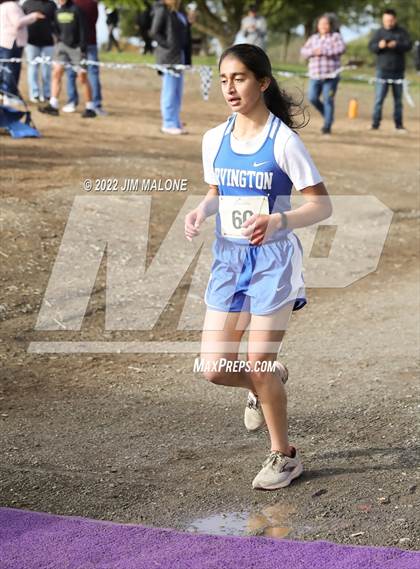 Thumbnail 3 in MVAL League Finals photogallery.
