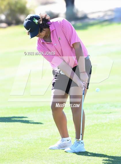 Thumbnail 2 in 2022-23 AIA DI Boys State Golf Championship photogallery.