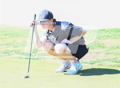 Thumbnail 3 in 2022-23 AIA DI Boys State Golf Championship photogallery.