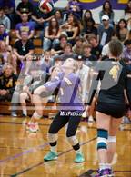 Photo from the gallery "Foothill @ Amador Valley"