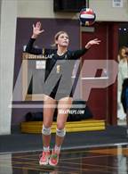Photo from the gallery "Foothill @ Amador Valley"