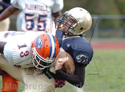 Thumbnail 3 in Bloomfield @  Platt photogallery.