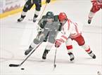 Photo from the gallery "Mountain Vista @ Regis Jesuit"