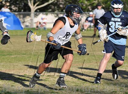 Thumbnail 1 in Palo Verde Black vs Centennial photogallery.