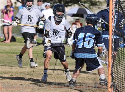 Thumbnail 2 in Palo Verde Black vs Centennial photogallery.