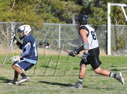 Thumbnail 2 in Palo Verde Black vs Centennial photogallery.