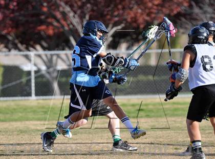 Thumbnail 1 in Palo Verde Black vs Centennial photogallery.