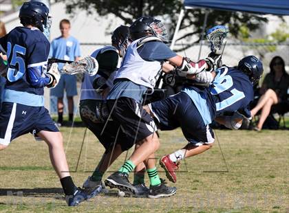 Thumbnail 1 in Palo Verde Black vs Centennial photogallery.
