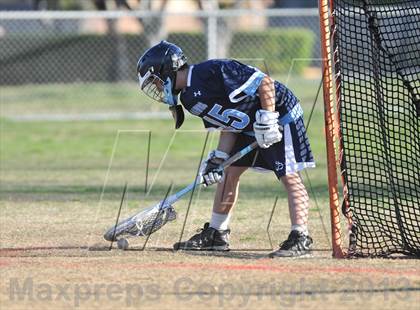 Thumbnail 2 in Palo Verde Black vs Centennial photogallery.