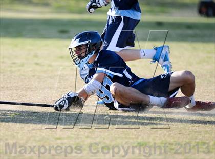 Thumbnail 3 in Palo Verde Black vs Centennial photogallery.