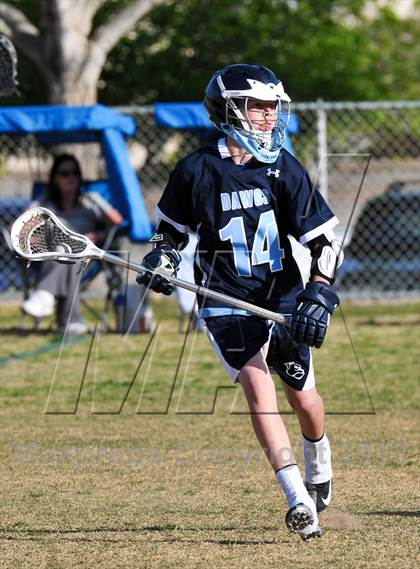 Thumbnail 1 in Palo Verde Black vs Centennial photogallery.