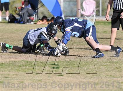 Thumbnail 2 in Palo Verde Black vs Centennial photogallery.