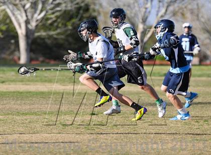 Thumbnail 1 in Palo Verde Black vs Centennial photogallery.