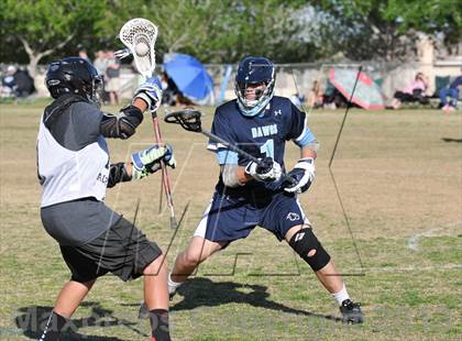 Thumbnail 3 in Palo Verde Black vs Centennial photogallery.